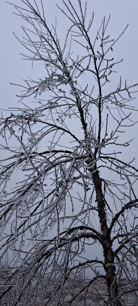 sky, 冰冻壁纸