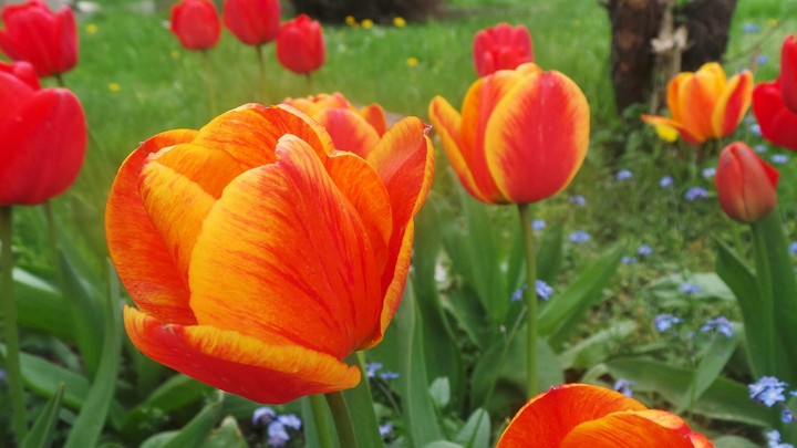 Un après-midi fleuri