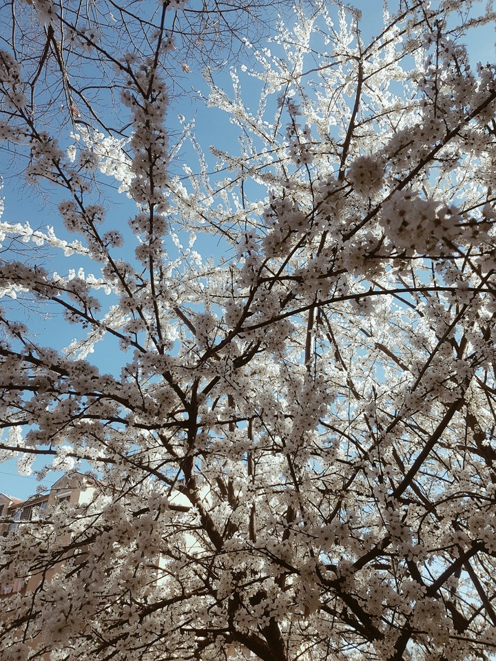 Spring is here !