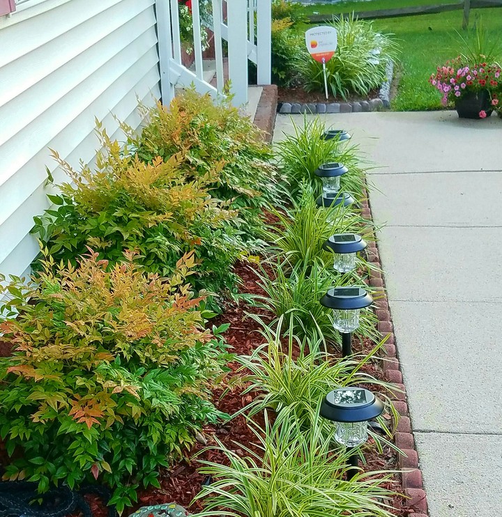 Landscaping