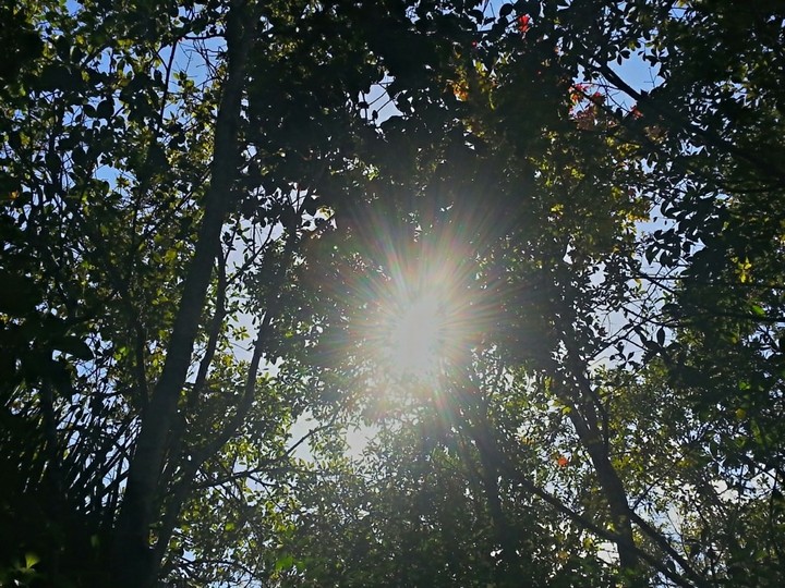sunrays