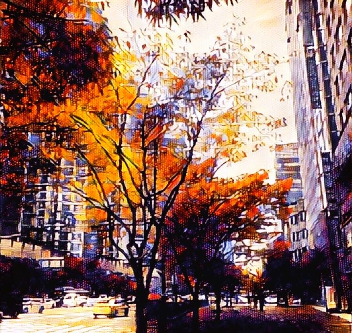 도시