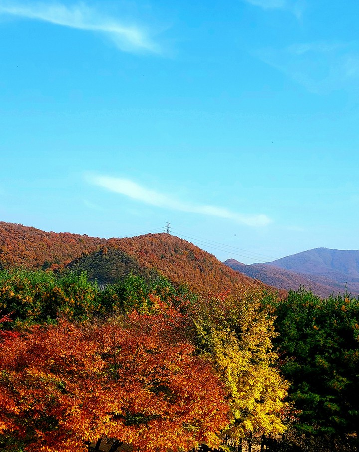 The autumn Scenery  from  my home