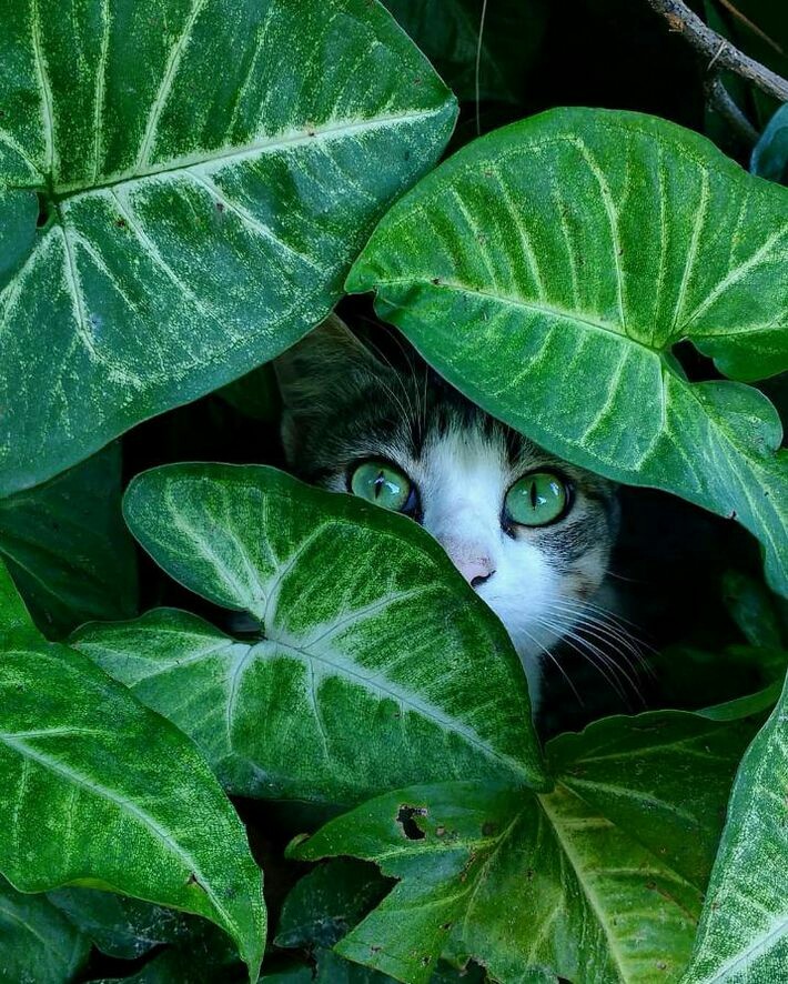 ⁝⁞⁝⁞☂⁝⁞⁝⁝