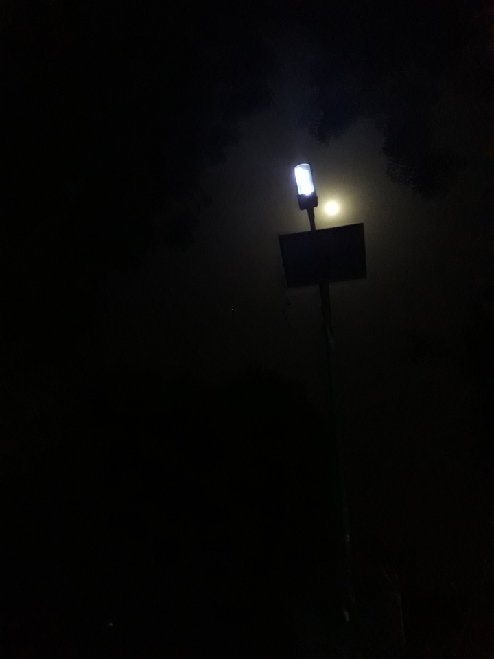 night beauty with light