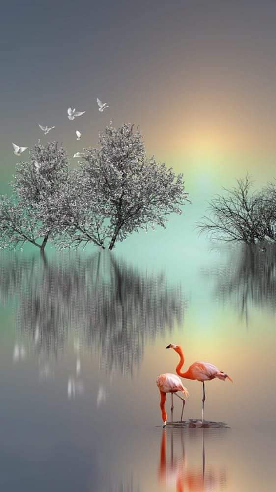 sunset..