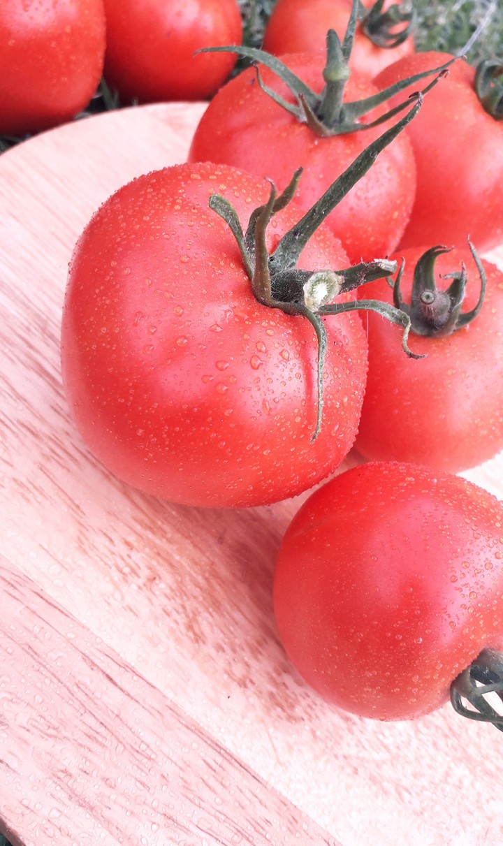 Tasty tomatoes