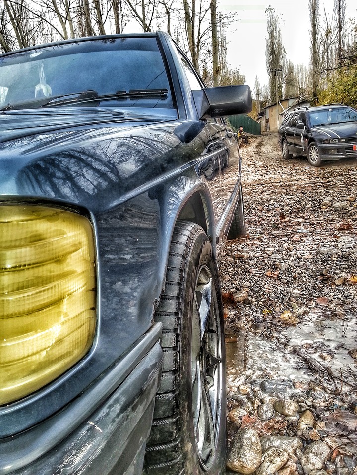 Борода
