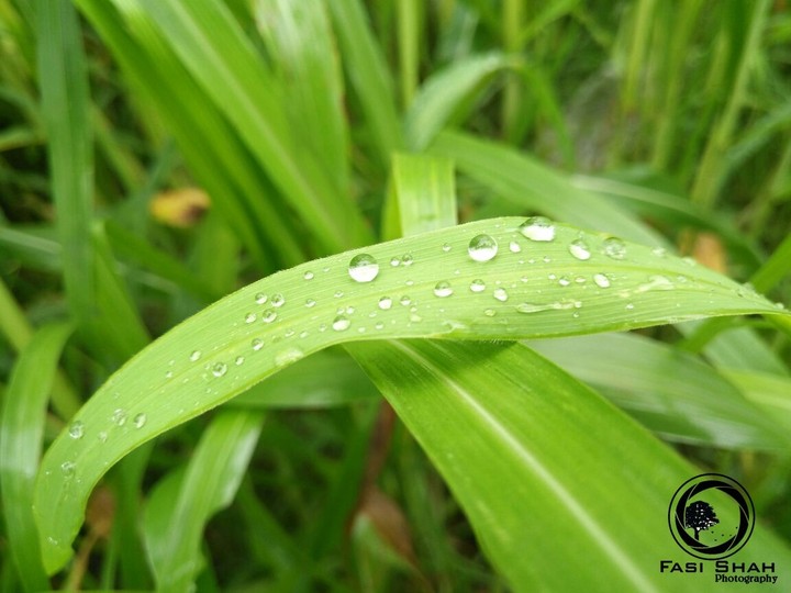 cazn photography