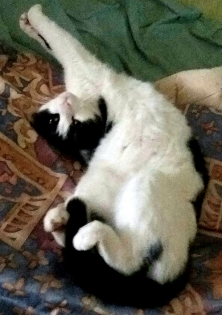 ??