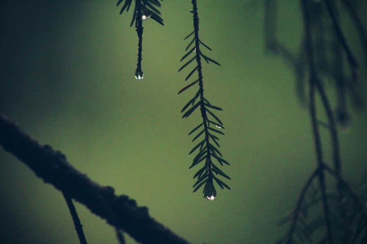 waterdrops.