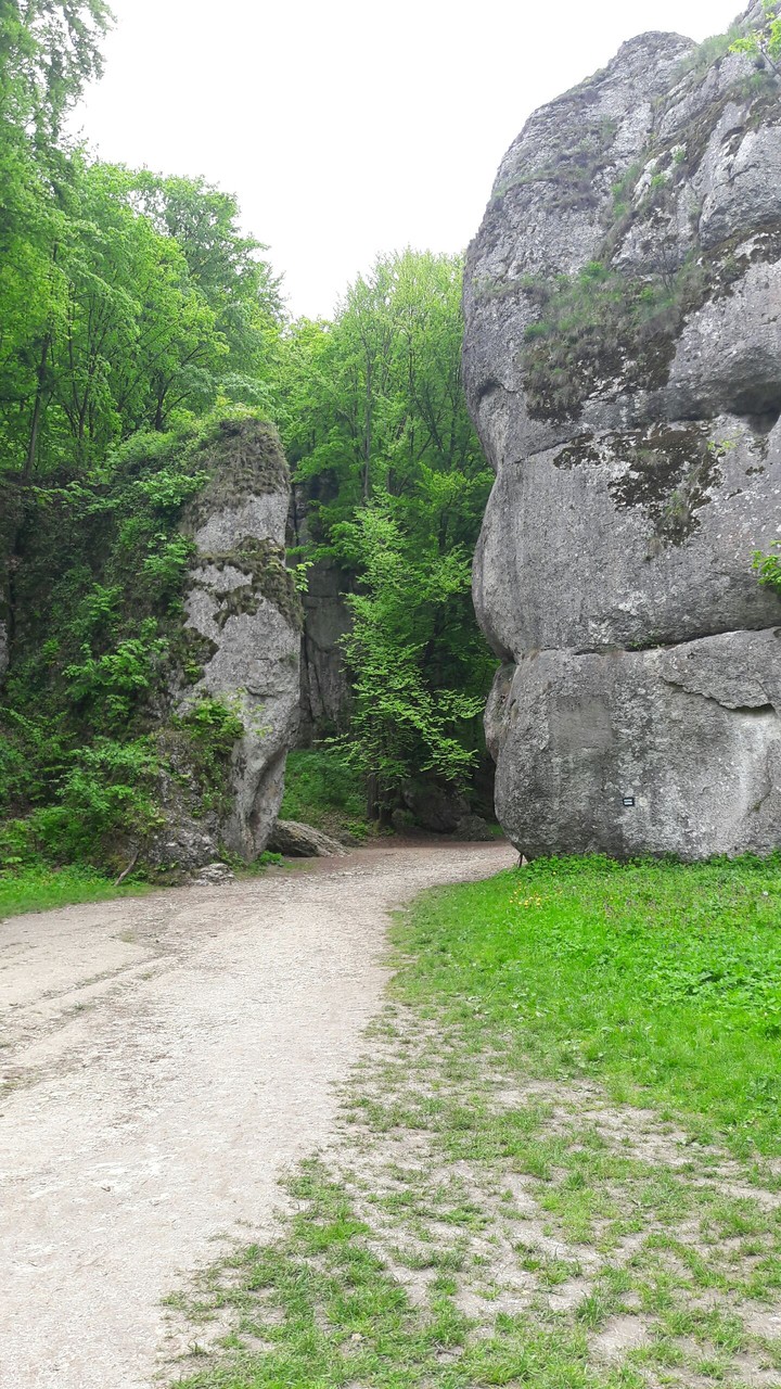 NATIONAL PARK - Ojcowski Park Narodowy - Poland