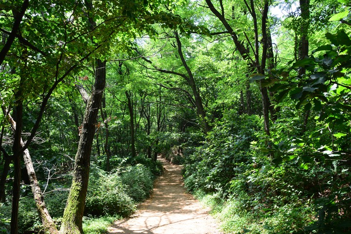 용마산이미지