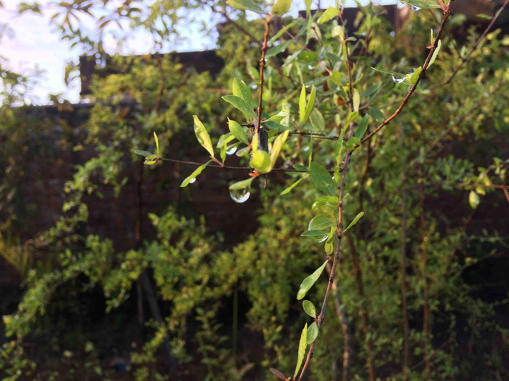 #droplets