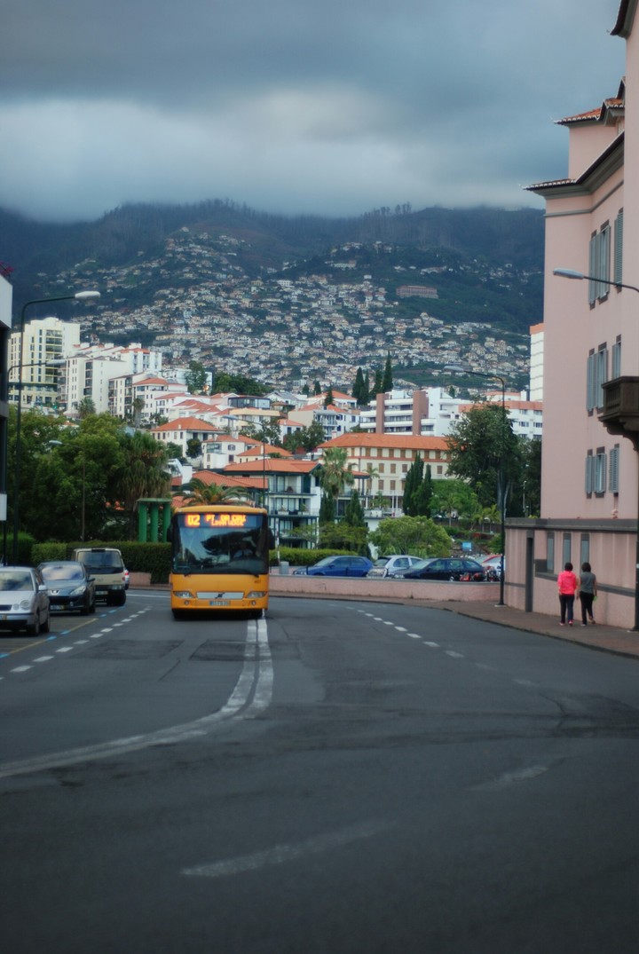 madeira