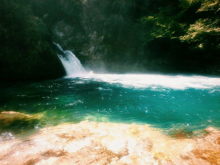 nature