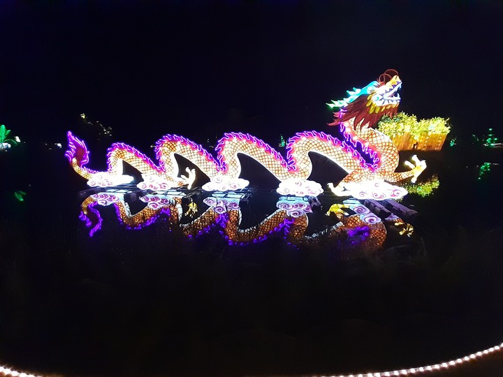 Dragón Chino Jardin Botánico