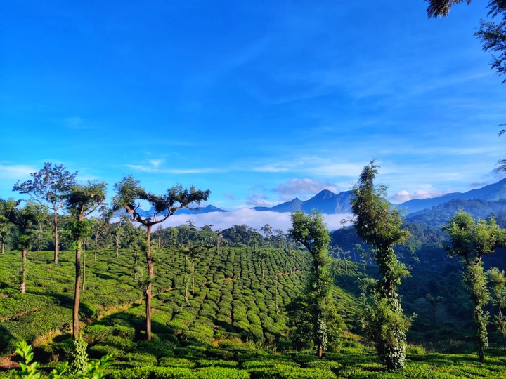 Valparai, TN