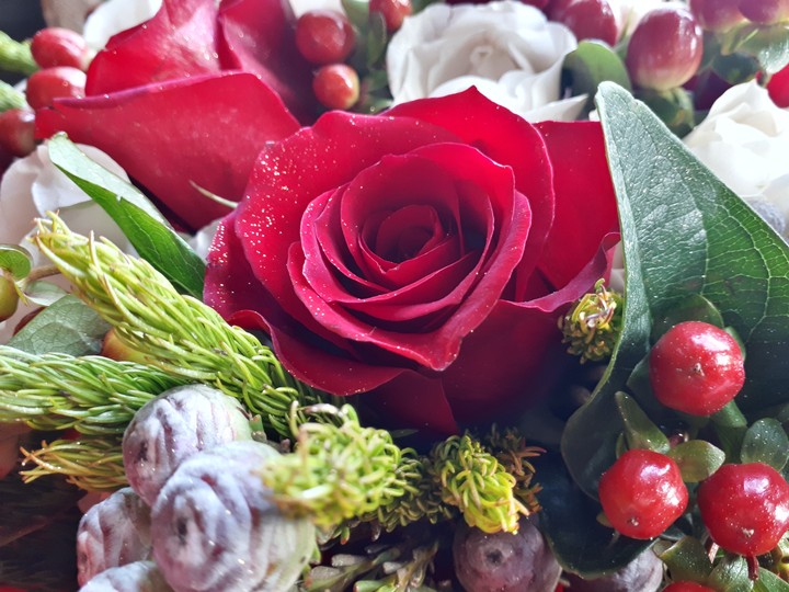 flowers