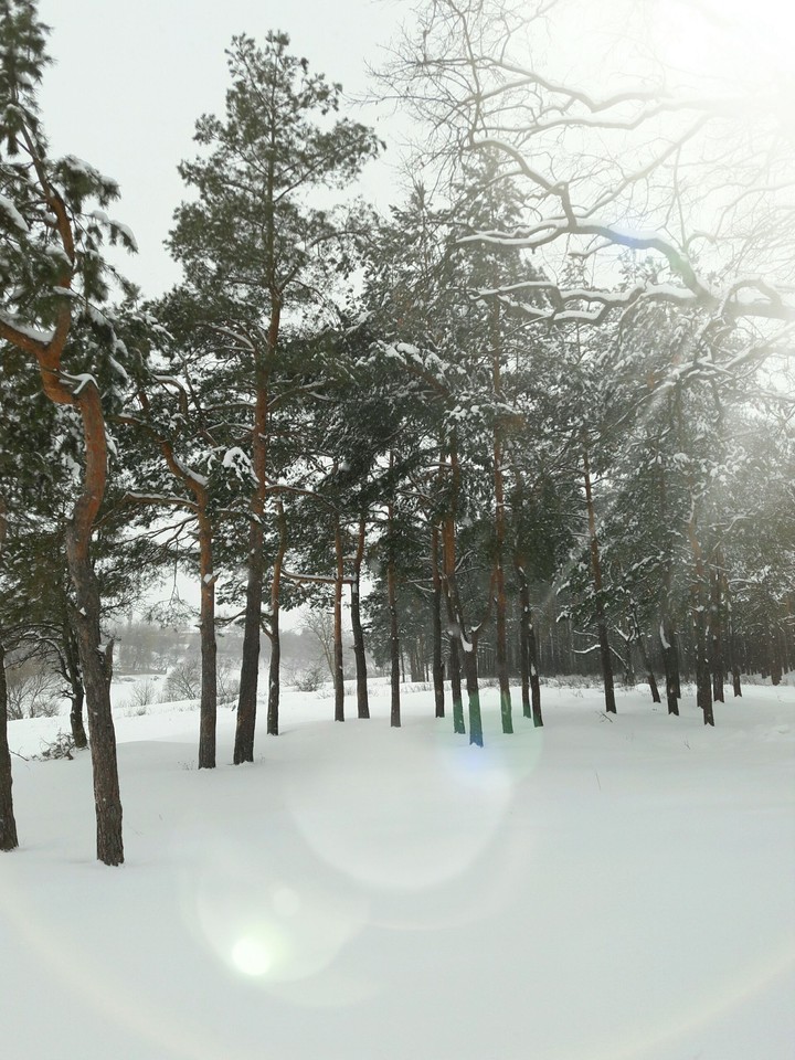 winter