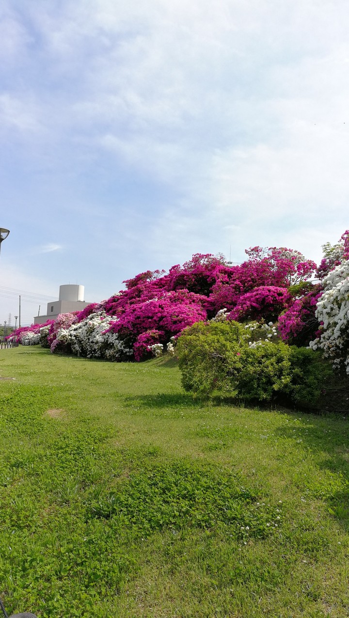 Asaka-yama Park