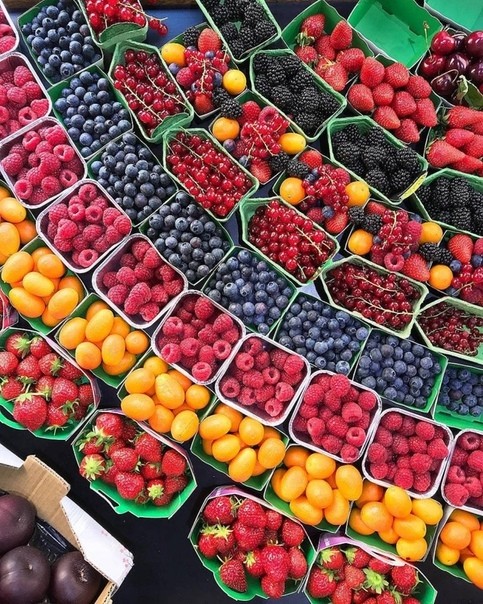 fruits
