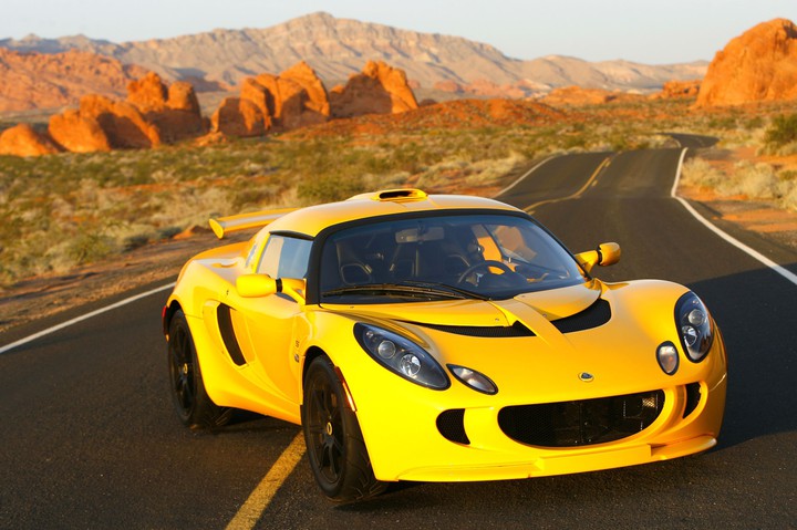 lotus