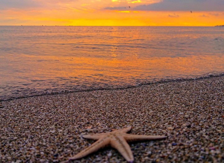 sunset in sea
