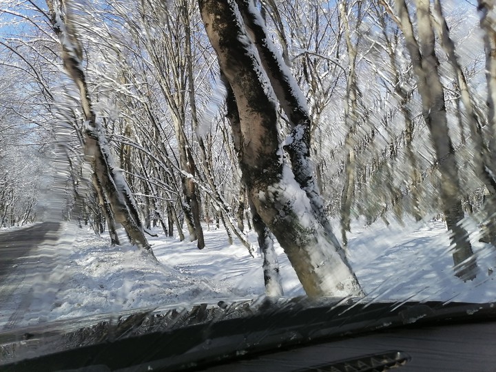 winter