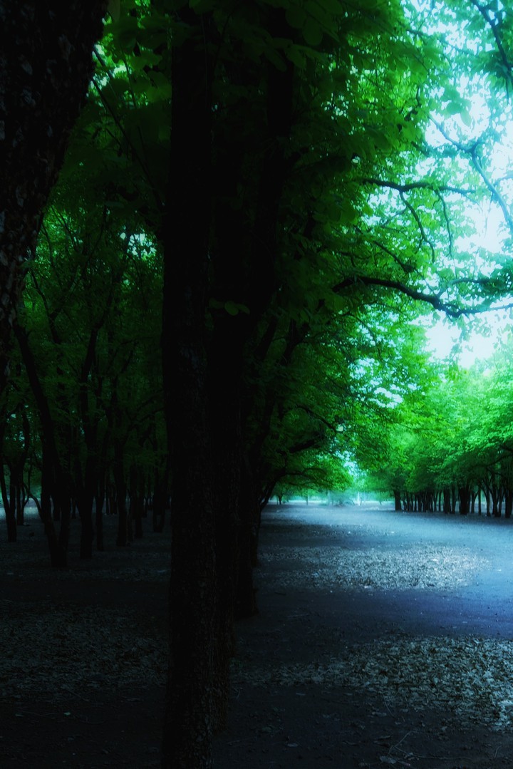 scenery3