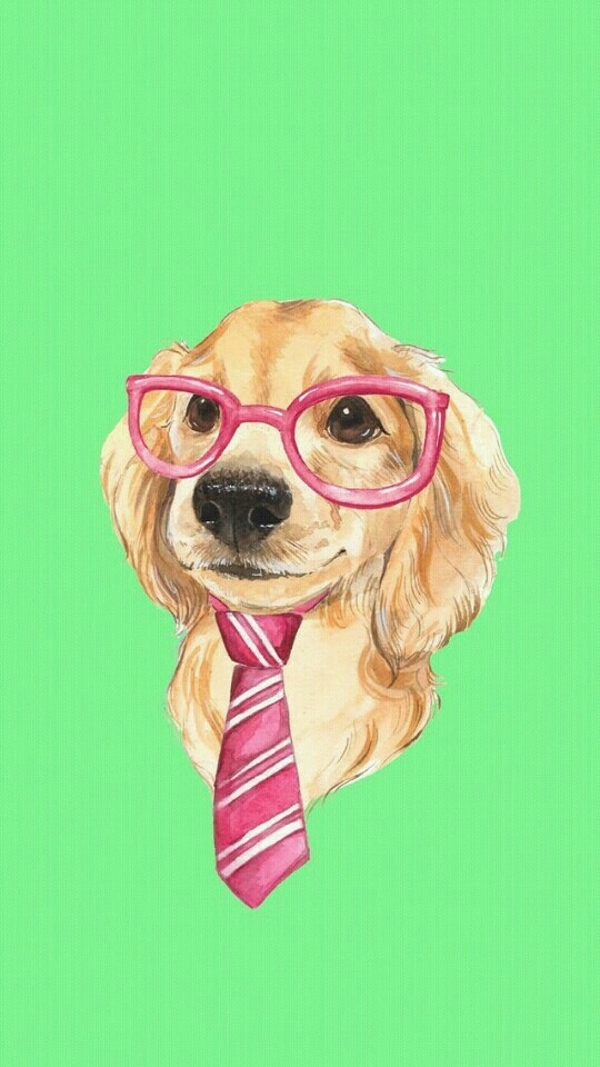 Cachorro Tumblr