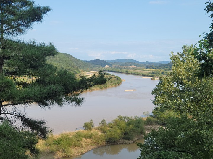 낙동강