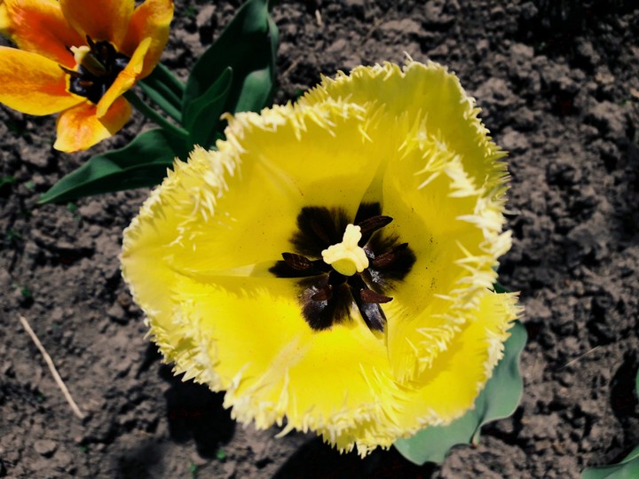May