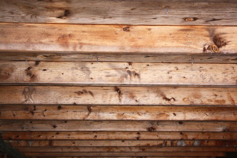 Board. Very very Bored.