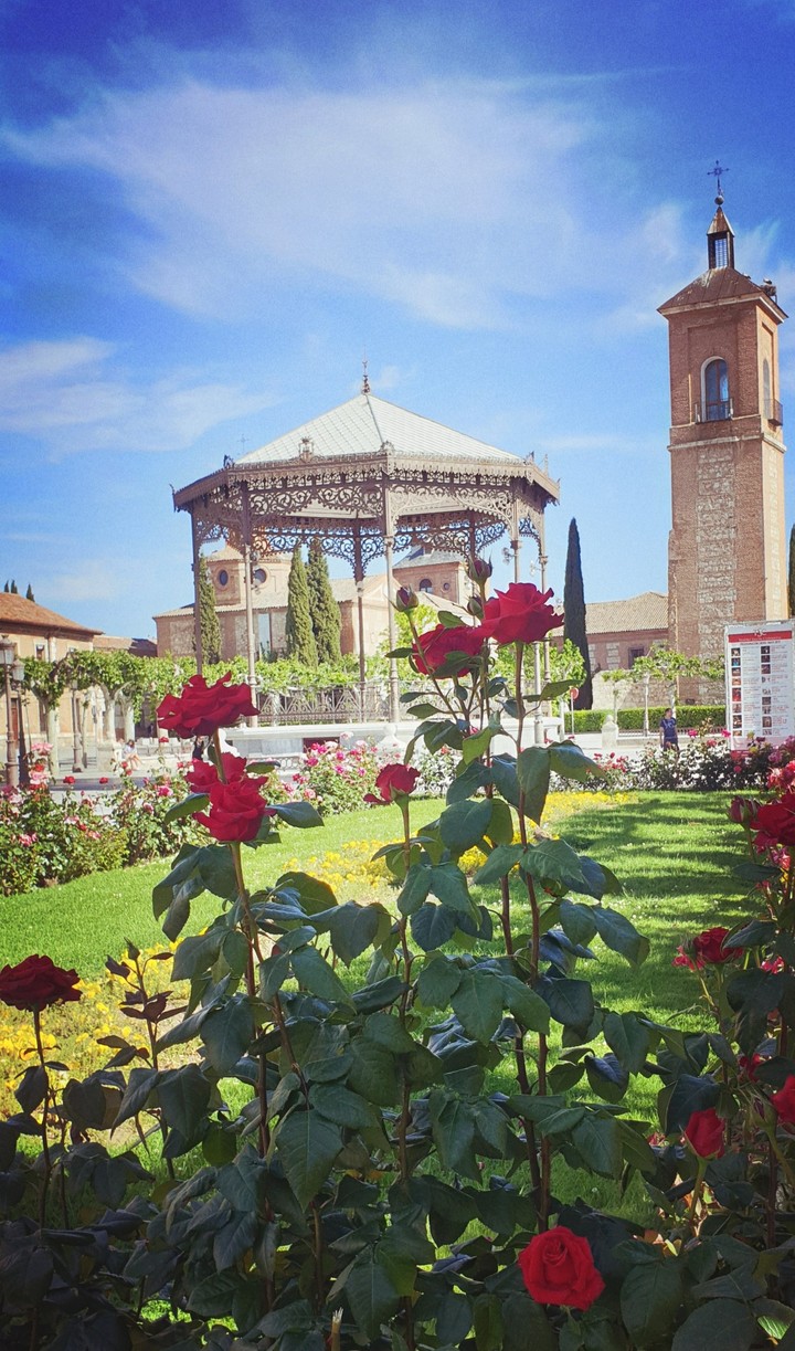 Plaza de Cervantes.