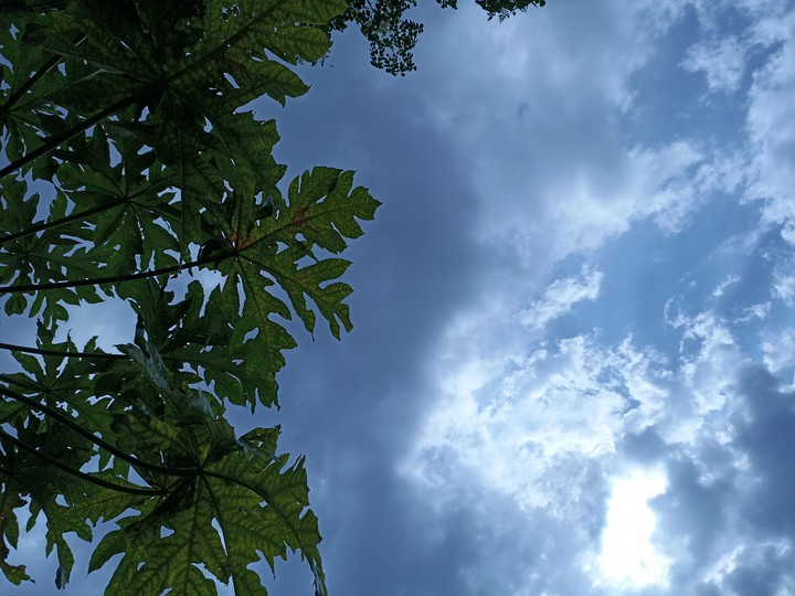 Sky