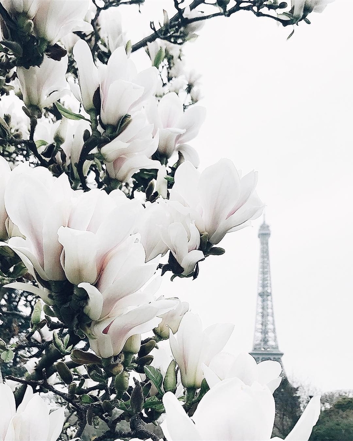 La Tour Eiffel