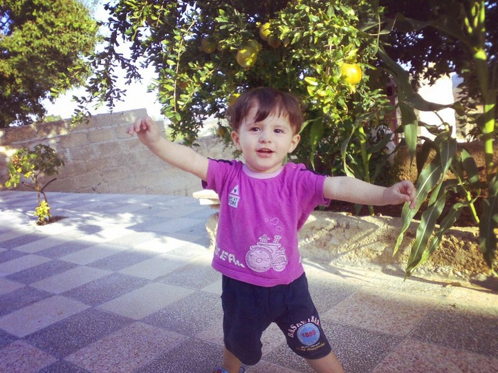 Hamody