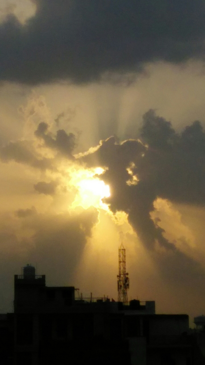 Sunlight