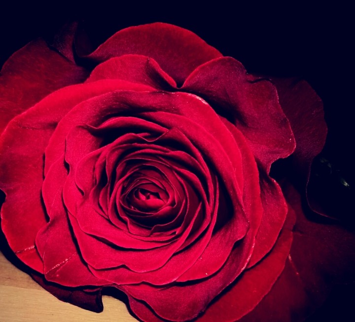rose ouvre toi