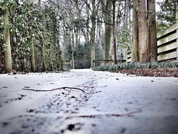 snow
