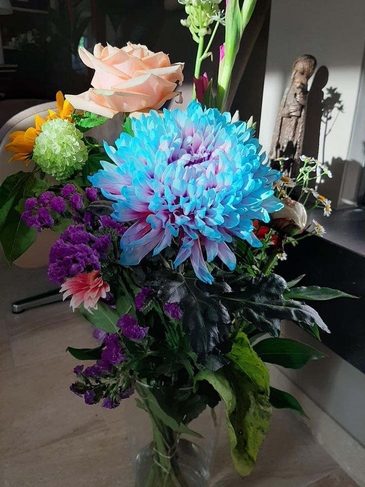 Pretty bouquet of flowers