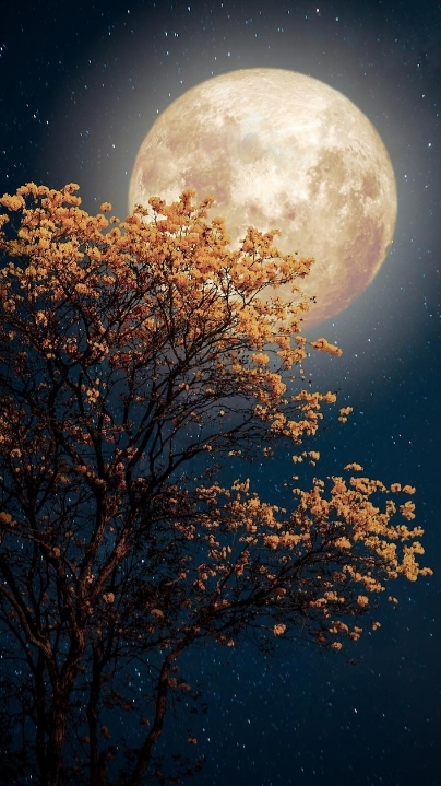 Full moon
