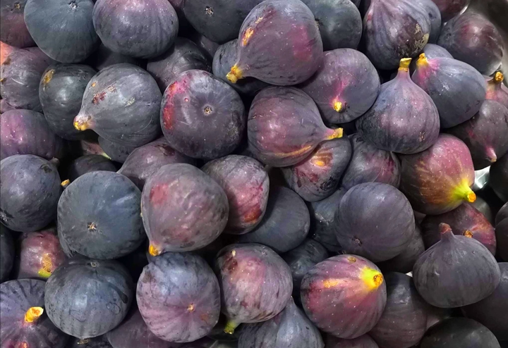 Fig