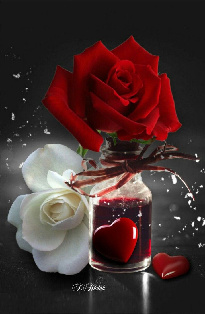 Good morning... have a great day..