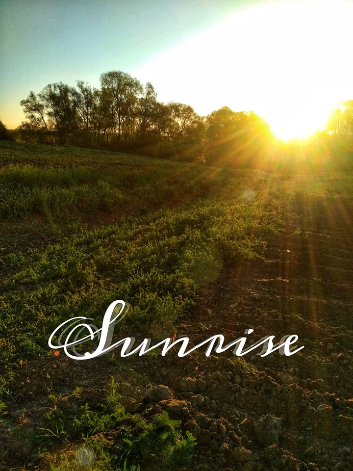 Sunrise