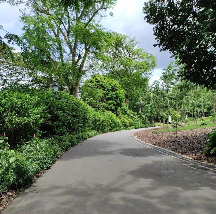 Turning the Corner