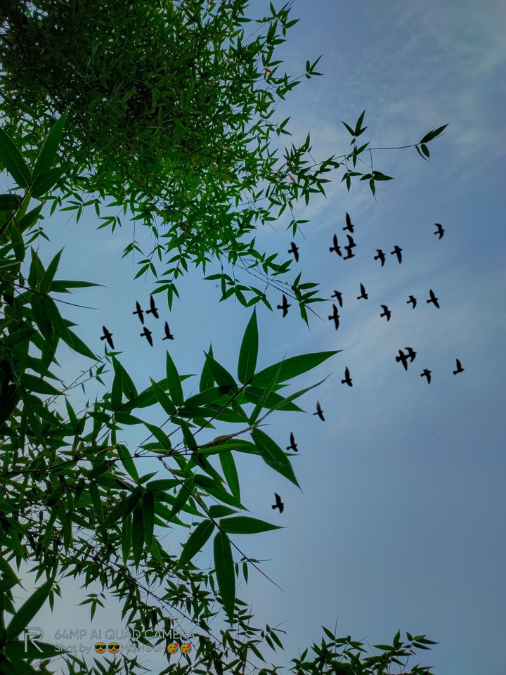 sky with nature