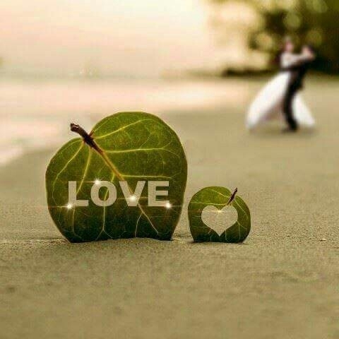 LOVE