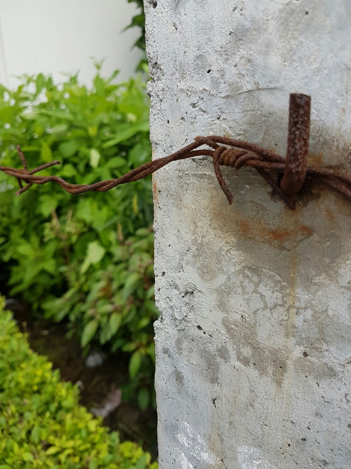 rusty